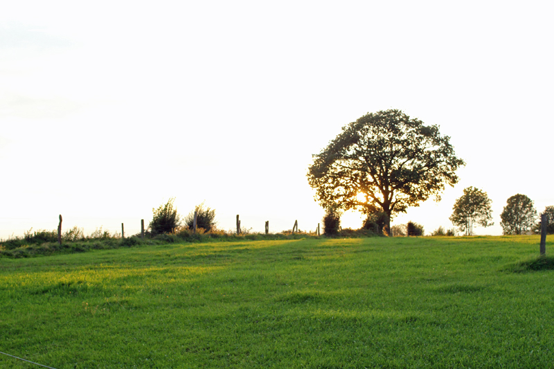 Herkingrade-Landschaft
