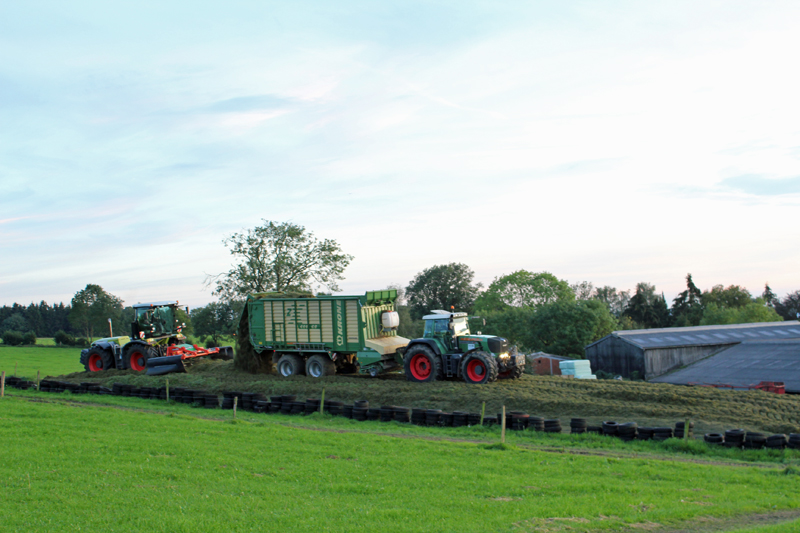 Radevormwald-Landwirtschaft