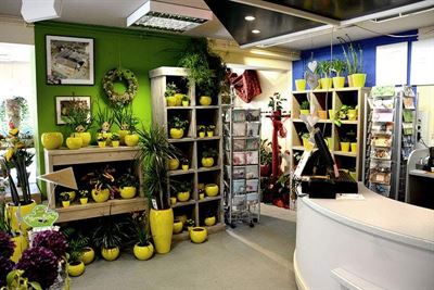 Blumen Busch Leo Ortmans e.K.